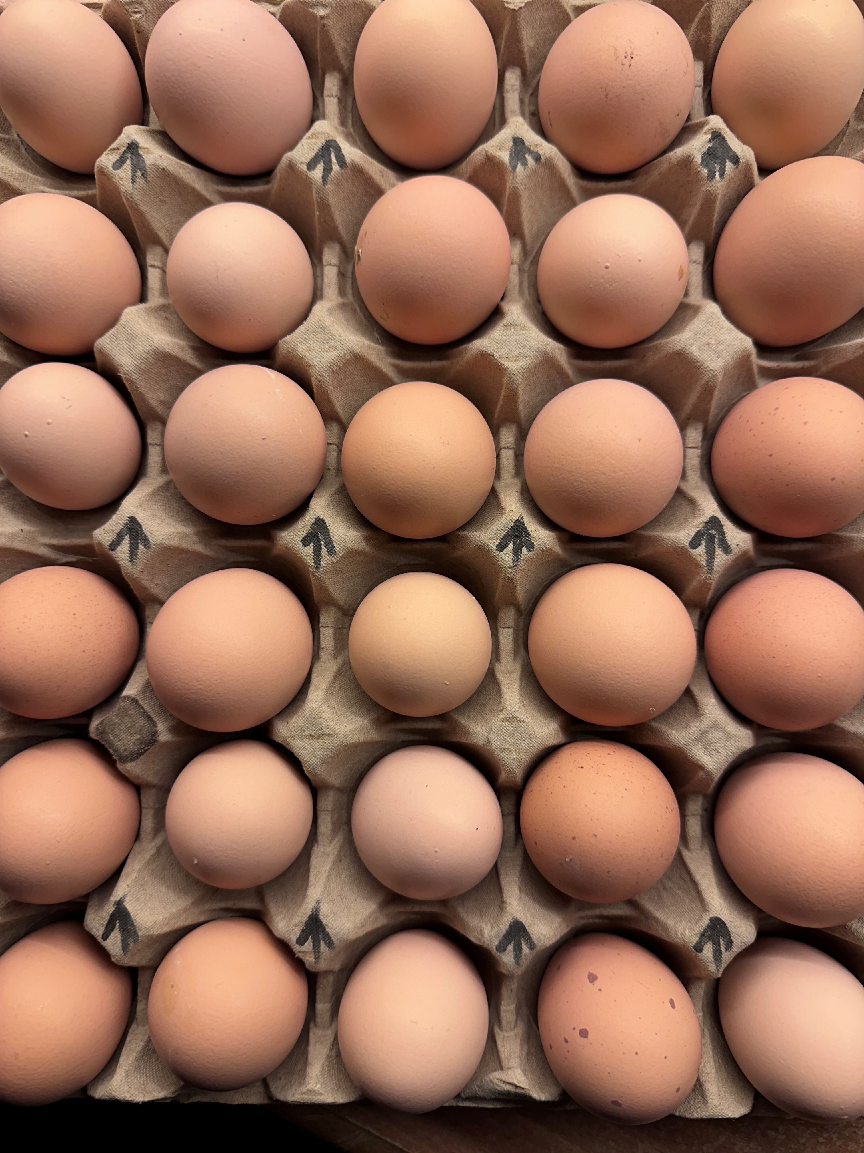 Ägg från gårdens verksamhet