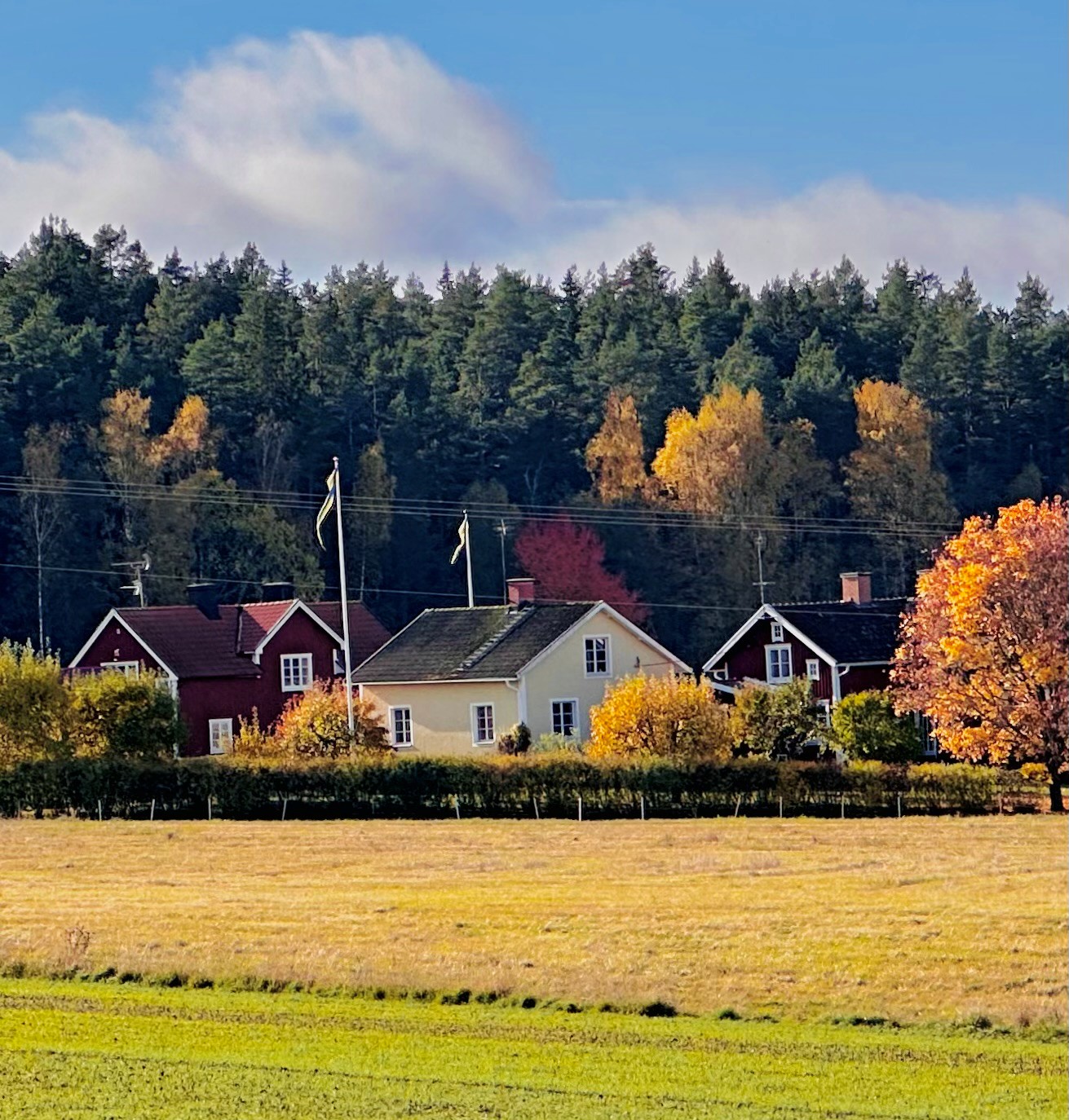 Vy över gården Harbro i kvällsljus